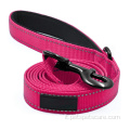 Guinzaglio della corda per cani reflective nylon dog guinzaglio